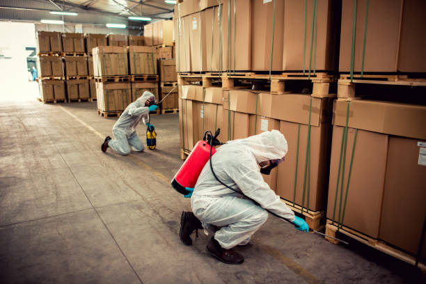 Best Flea Control Services  in Perth Amboy, NJ