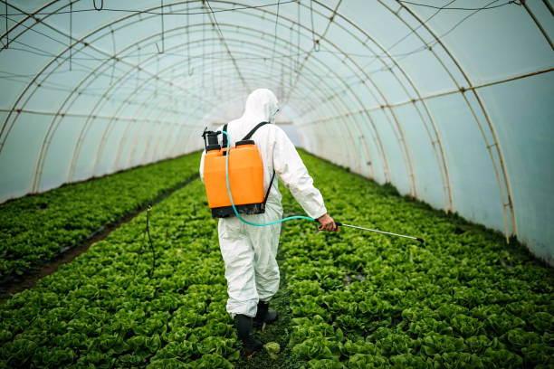 Best Best Pest Control Companies  in Perth Amboy, NJ