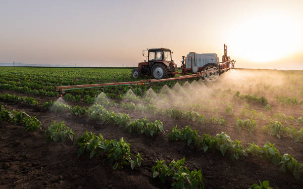 Best Mosquito Control Services  in Perth Amboy, NJ