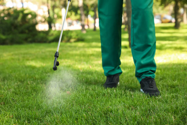 Best Local Pest Control Services  in Perth Amboy, NJ