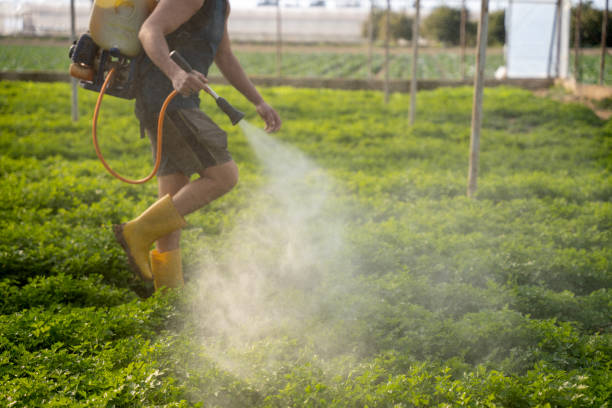 Best Commercial Pest Control Services  in Perth Amboy, NJ