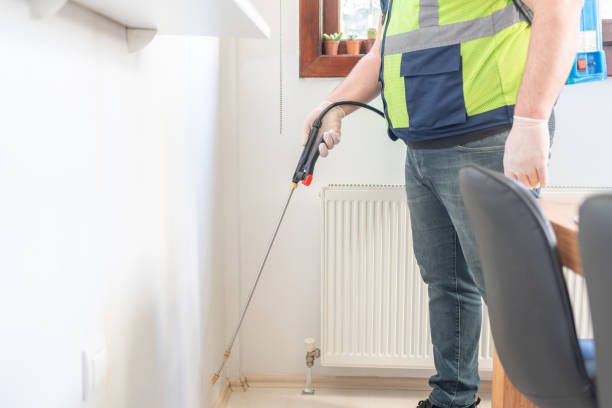 Best Pest Control Near Me  in Perth Amboy, NJ