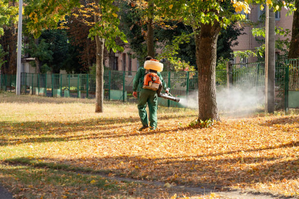 Best Bed Bug Extermination  in Perth Amboy, NJ