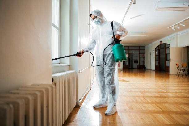 Trusted Perth Amboy, NJ Pest Control Experts